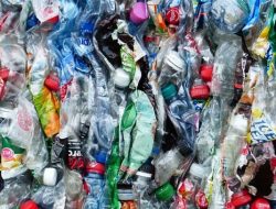 Skema Dana Kelola Sampah Industri Ciptakan Lapangan Kerja Hijau Di Daerah?