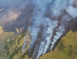 Kebakaran Hutan Bromo Kian Meluas, Sekitar 70 Hektare Kawasan TNBTS Hangus Dilalap Api