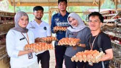 Lembaga Pemasyarakatan (Lapas) Kelas IIB Muara Tebo, Jambi, saat memanen hasil pelatihan kemandirian warga binaan setempat. (FAKTANASIONAL/HO).