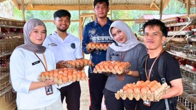 Lembaga Pemasyarakatan (Lapas) Kelas IIB Muara Tebo, Jambi, saat memanen hasil pelatihan kemandirian warga binaan setempat. (FAKTANASIONAL/HO).