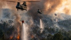 Saat Pemerintah Sibuk Diskusi Nambah Anggaran Karhutla, Jepang Kerahkan 3 Helikopter ke Kalimantan