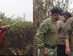 Bupati Barito Utara Bersama Forkopimda Turun Langsung Padamkan Karhutla di Desa Trahean