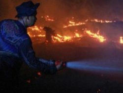 Anggaran Menipis, DPR Khawatir Kalteng Kewalahan Hadapi Karhutla yang Capai 7.634 Hektare