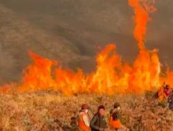 520 Hektare Terdampak Kebakaran di Kawasan Gunung Bromo, TNBTS: Dampak Hembusan Angin Kencang Sejak Siang