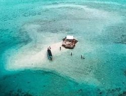 Gempa Bumi Berkekuatan Magnitudo 5 di Pulau Saringi, BMKG: Tidak Berpotensi Tsunami