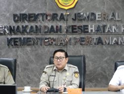 Harga Telur Anjlok, Mentan Amran Instruksikan Penyerapan via Program MBG dan Tahan Harga Pakan