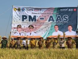 Panen Melimpah di Brebes, Sistem Pertanian Modern PM-AAS Tembus 10,43 Ton per Hektare