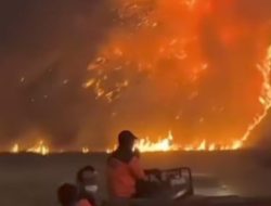 942 Hektare Lahan Terbakar di Taman Nasional Bromo Sampai Hari Kesepuluh, BPBD Jatim: Alhamdulilah Tidak Ditemukan Titik Api