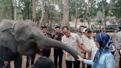 Wakil Ketua Komisi IV DPR RI, Hanan A Rozak bersama rombongan saat mengunjungi Taman Nasional Way Kambas (TNWK) Lampung. (FAKTANASIONAL/HO)