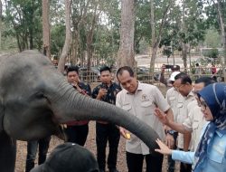 Wakil Ketua Komisi IV DPR RI, Minta Kawasan Konservasi Tidak Kembali Terbakar
