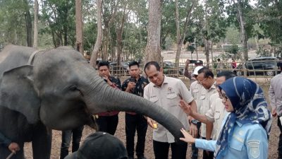 Wakil Ketua Komisi IV DPR RI, Hanan A Rozak bersama rombongan saat mengunjungi Taman Nasional Way Kambas (TNWK) Lampung. (FAKTANASIONAL/HO)