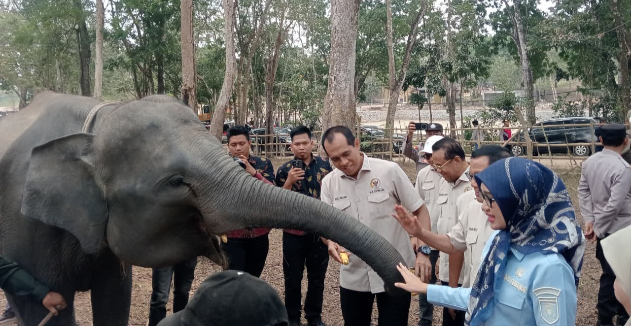 Wakil Ketua Komisi IV DPR RI, Hanan A Rozak bersama rombongan saat mengunjungi Taman Nasional Way Kambas (TNWK) Lampung. (FAKTANASIONAL/HO)