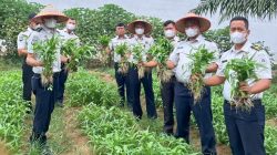 Lembaga Pemasyarakatan (Lapas) Kelas IIB Muara Tebo, Jambi dukung program ketahanan pangan melalui kegiatan panen kangkung. (FAKTANASIONAL/HO).
