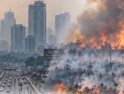 Jakarta Berasap Langsung Panik, di Kalimantan Sudah Sesak Nafas Tapi Harus Menunggu?