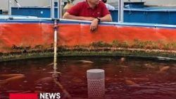 Usai Menteri Purbaya Unggah Sedang Mancing