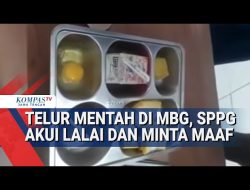 PARAH BANGET, Ada MBG Telur Mentah di Semarang, SPPG Bilang Begini…
