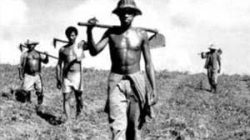 Foto ilustrasi sekelompok petani sedang berjalan di atas lahan. (FAKTANASIONAL/HO).