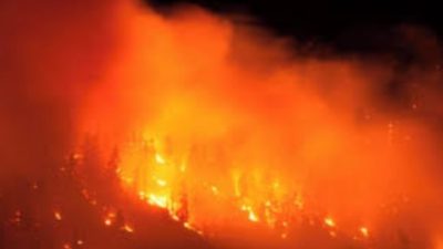 Kebakaran Gunung Latimojong Enrekang Memasuki Hari Ketujuh, Api Belum Padam