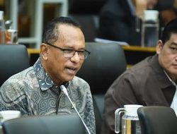 Mitigasi Karhutla Gagal, DPR Sentil Kemenhut